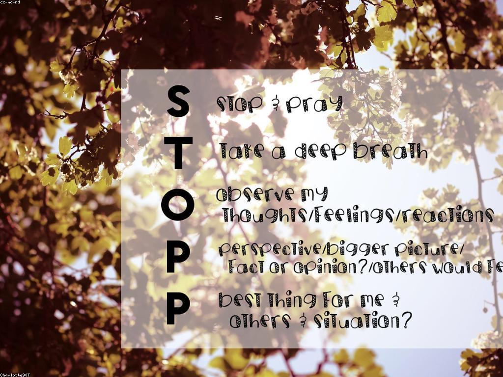 របៀបគ្រប់គ្រងអារម្មណ៍នៅពេលលេងស្លុត