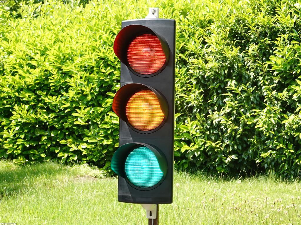 ααΆααααα αΆαααα·ααα: αα·ααΈααΆααααααααα’αΆα
αα½αα±ααα’ααααααααΆα